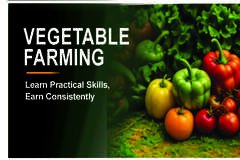 VEGETABLE FARMING