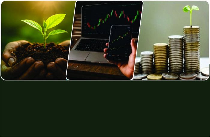 Financial Education