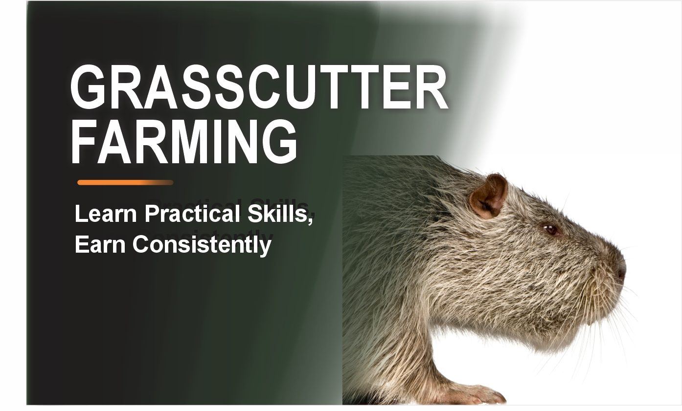 GRASSCUTTER FARMING