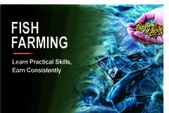 FISH FARMING