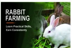 RABBIT FARMING