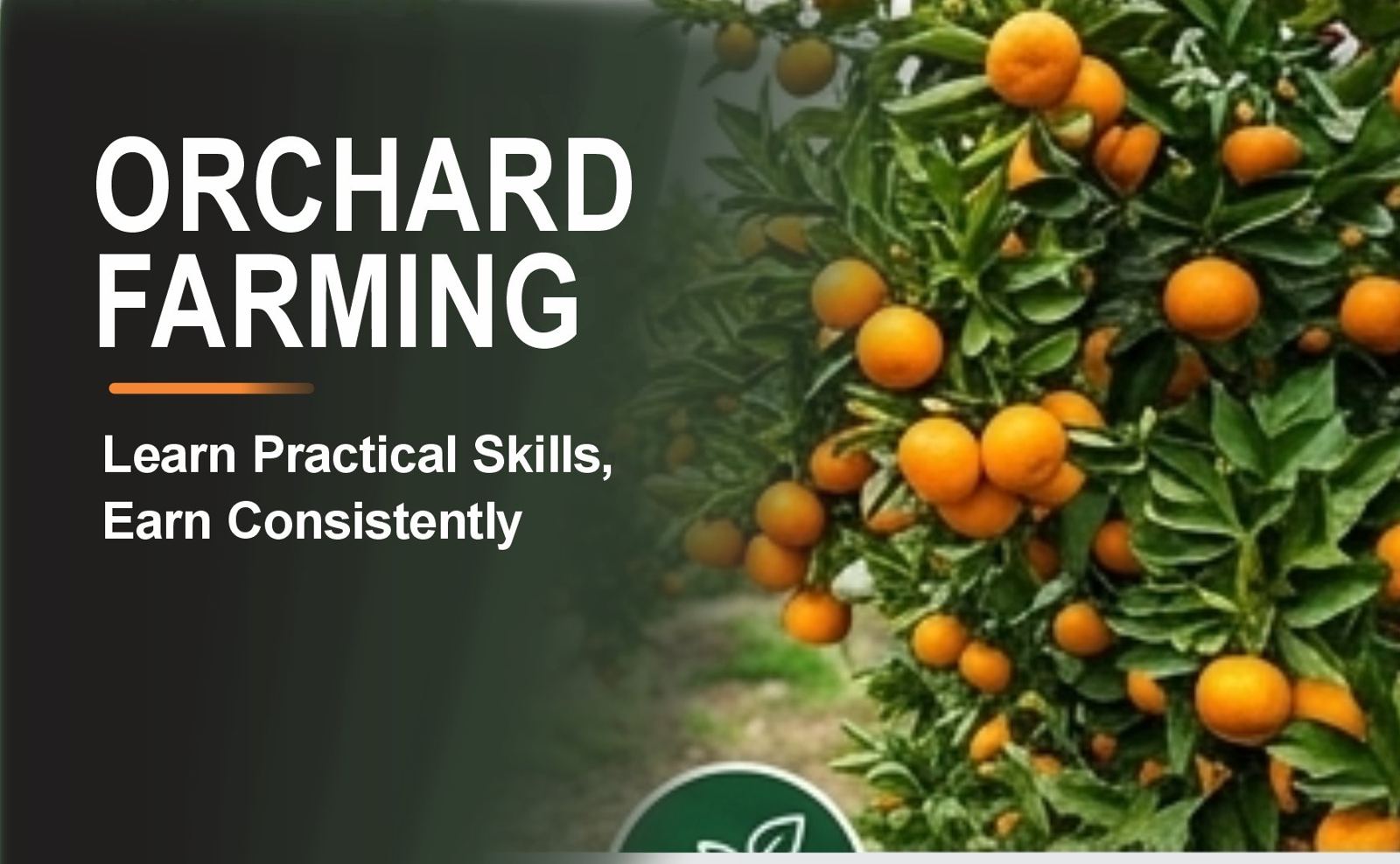 ORCHARD FARMING